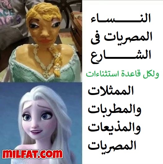 المصريات ف الشارع والمذيعات والممثلات والمغنيات المصريات.jpg
