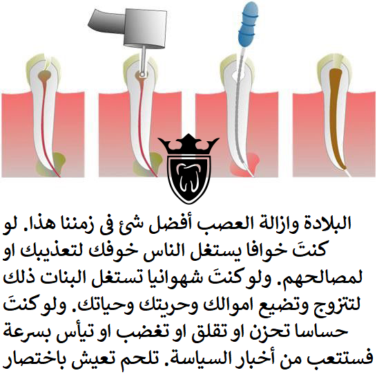 serviceDept_a6cea596-6ff5-47e5-9870-a1574493b0f1.png