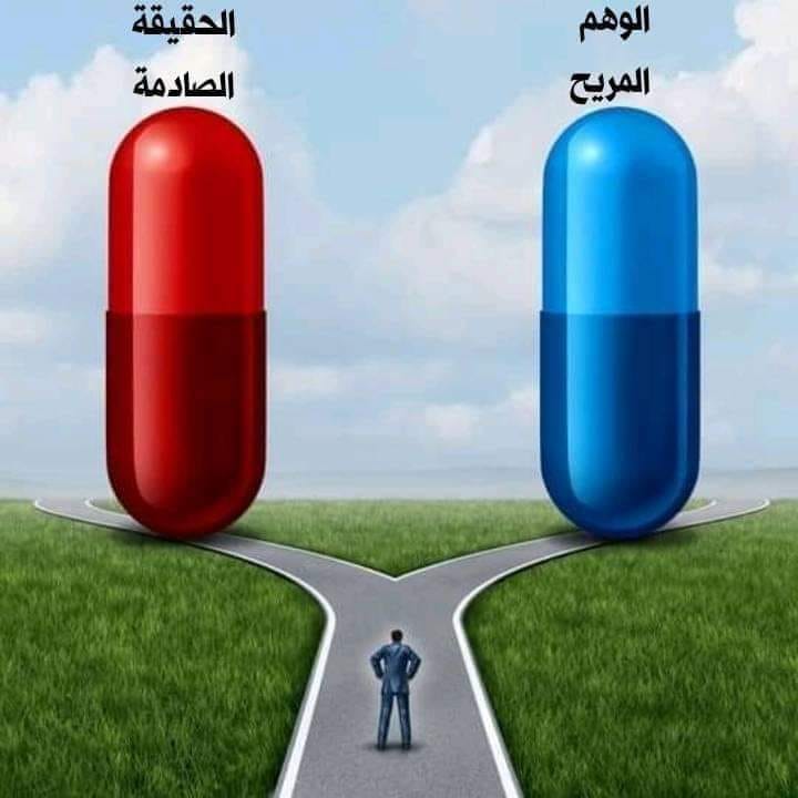 450563421_465259953119760_6200138224185889415_n.jpg