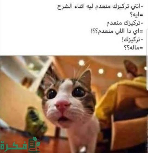 1000201670.jpg