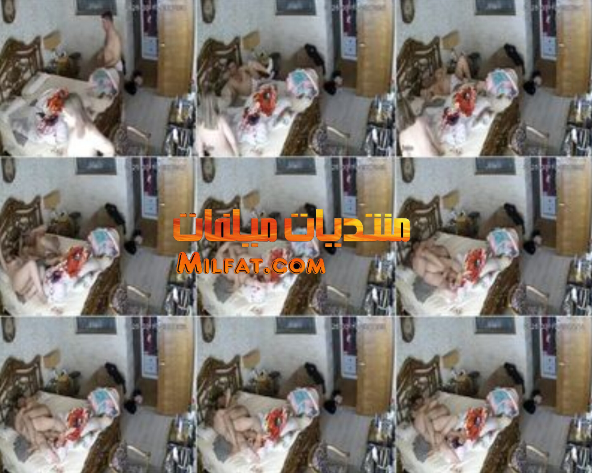 InShot_20250402_150726256.jpg