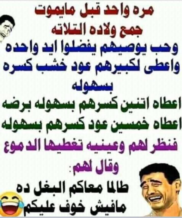 FB_IMG_1744035426392.jpg