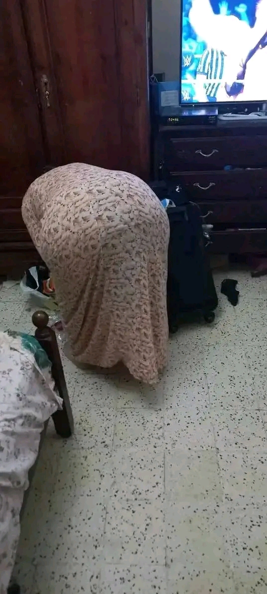 1749466595336.jpg