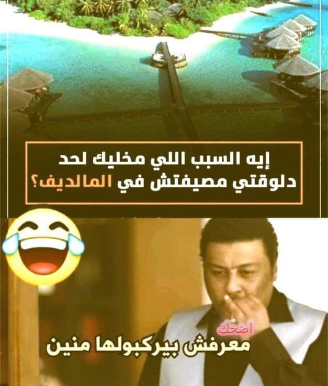 1000050489.jpg