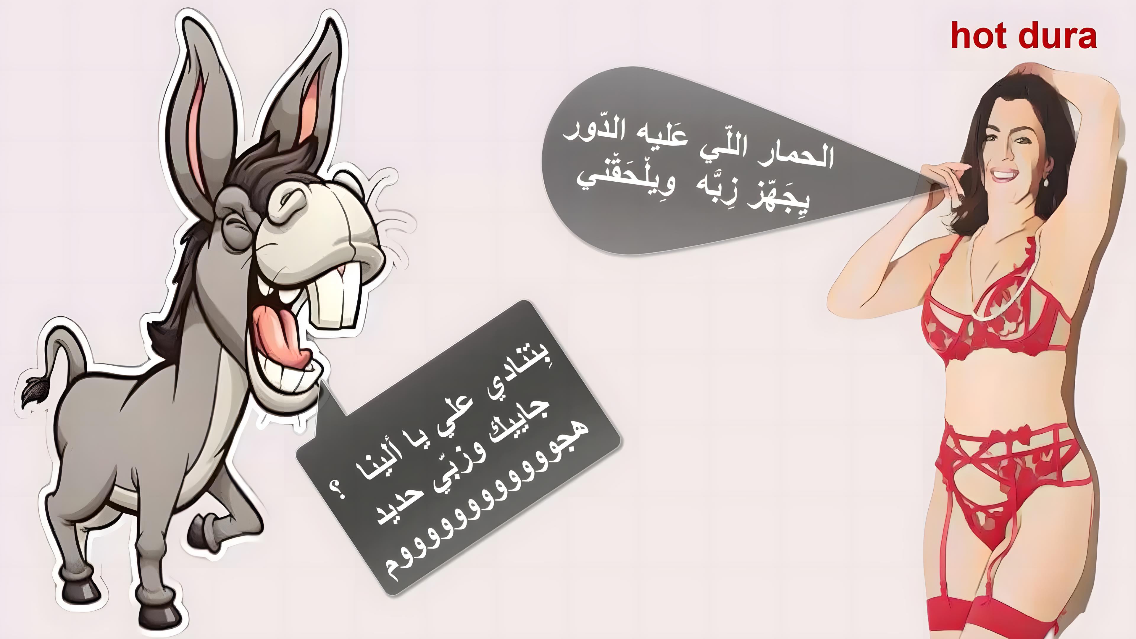 cap_Aljna_00_00_03_01_١١١٠٥٥.jpg