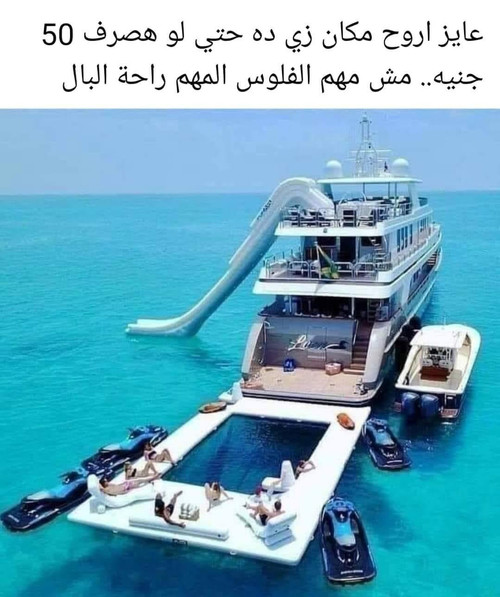 1000047225.jpg