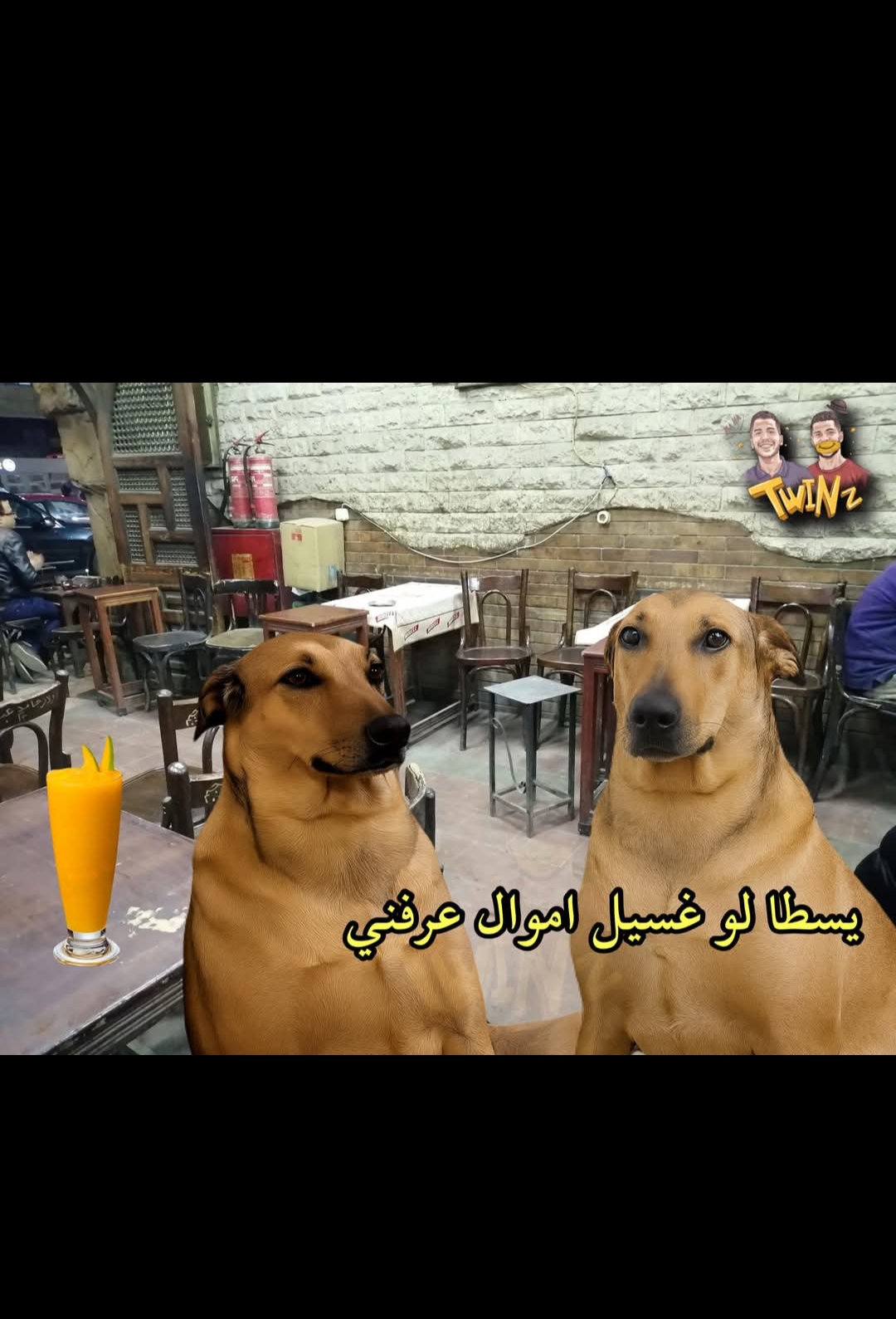 1000069333.jpg
