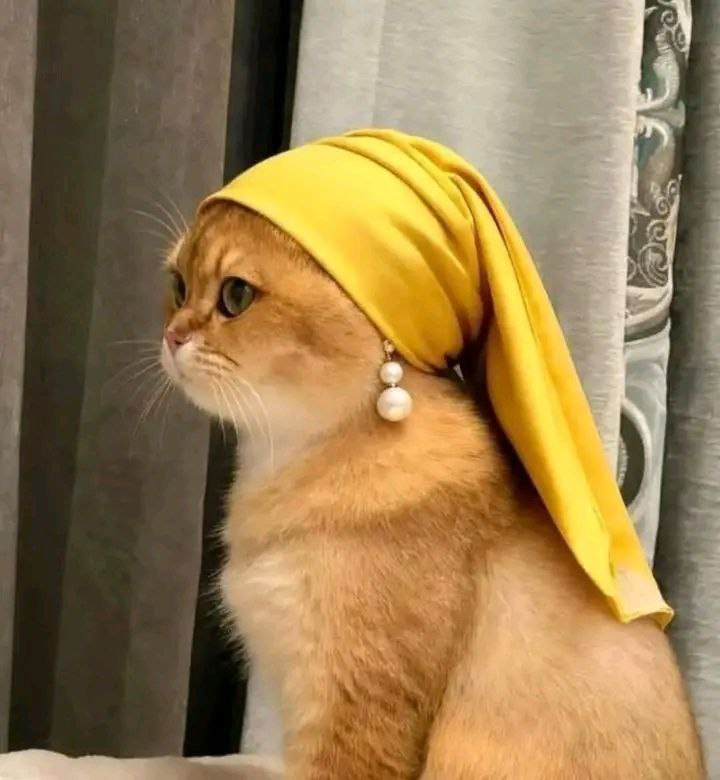 1452.jpg