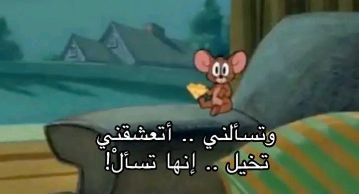 1961.jpg