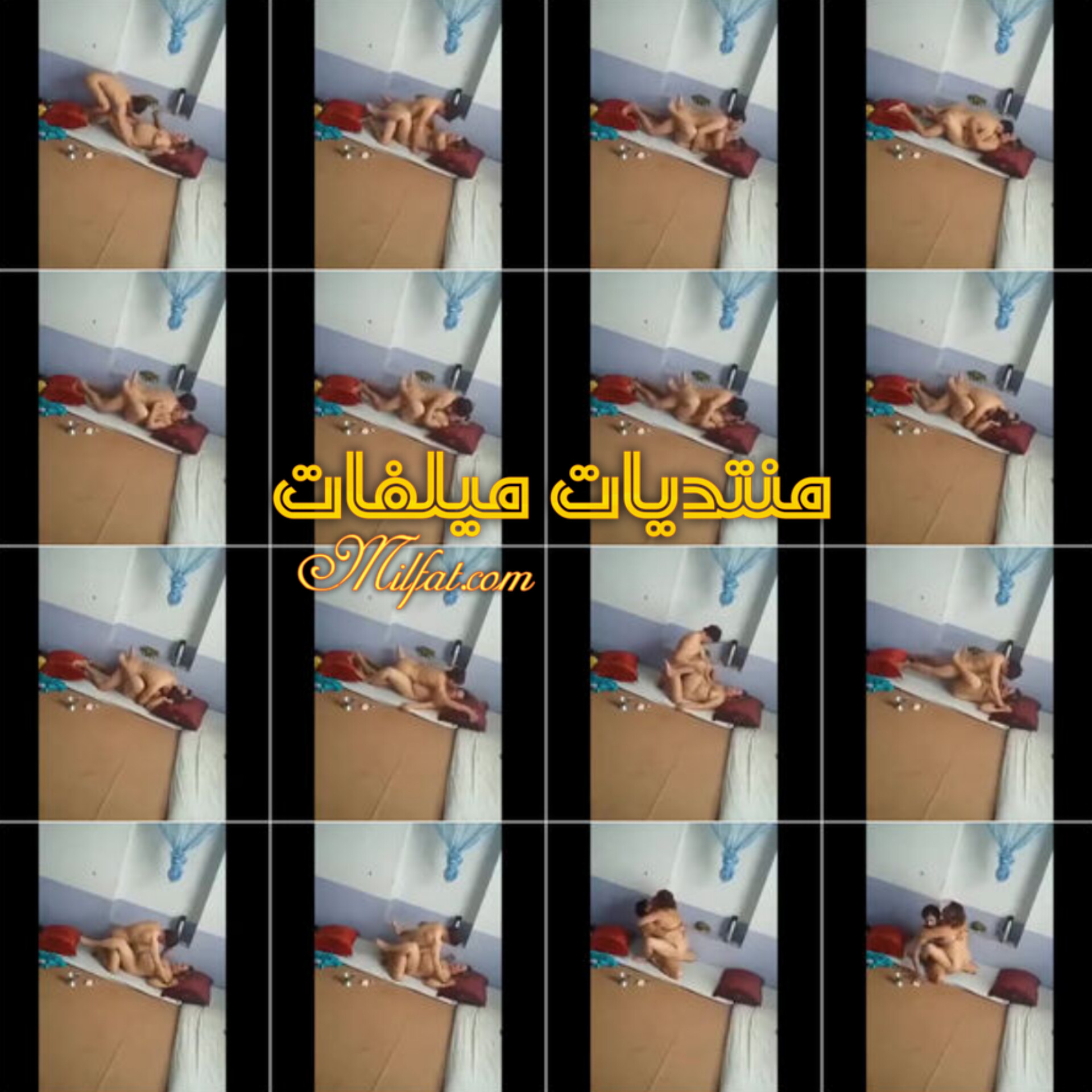 InShot_20251016_225628677.jpg