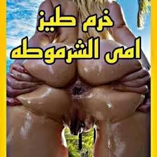 images (2).jpeg images (2).jpeg