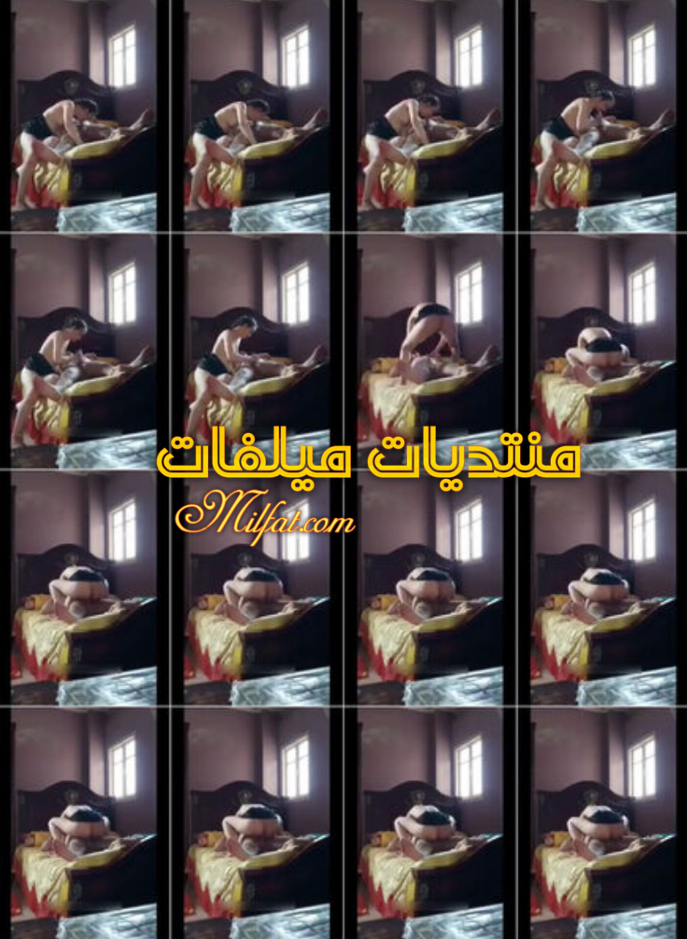 InShot_20251109_232759733.jpg