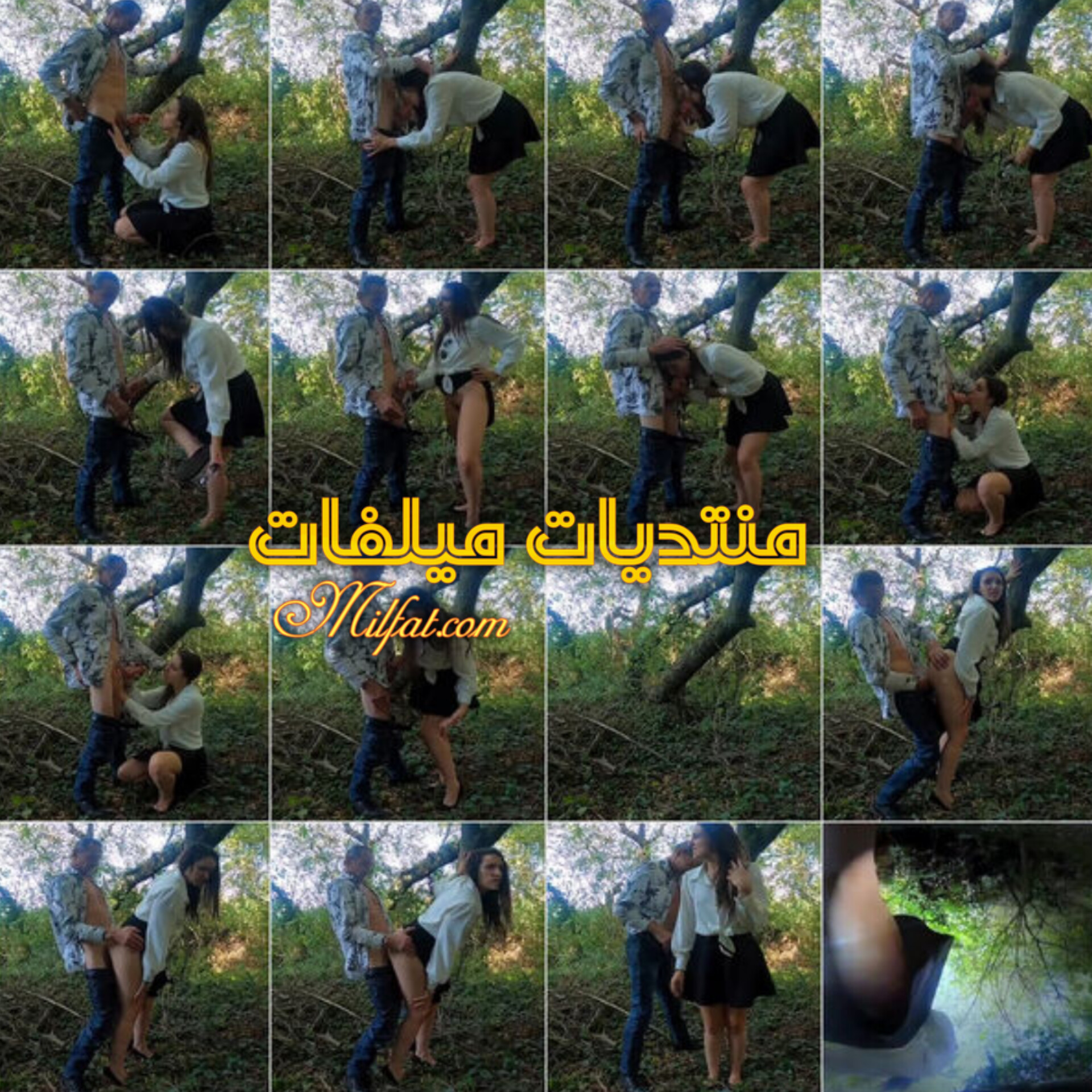 InShot_20251113_014110693.jpg