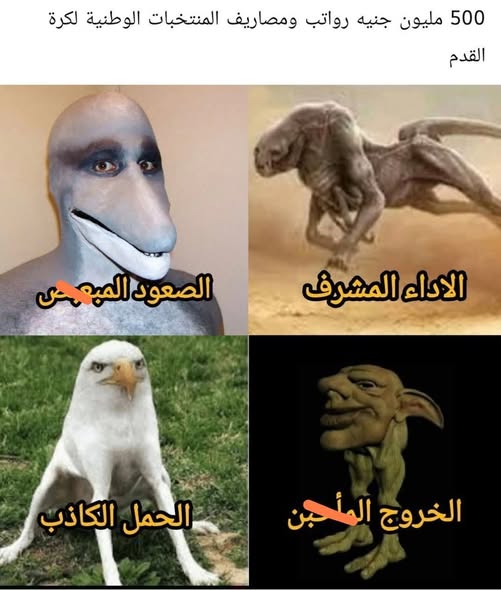 600306865_763108876813472_3828205567298729571_n.jpg