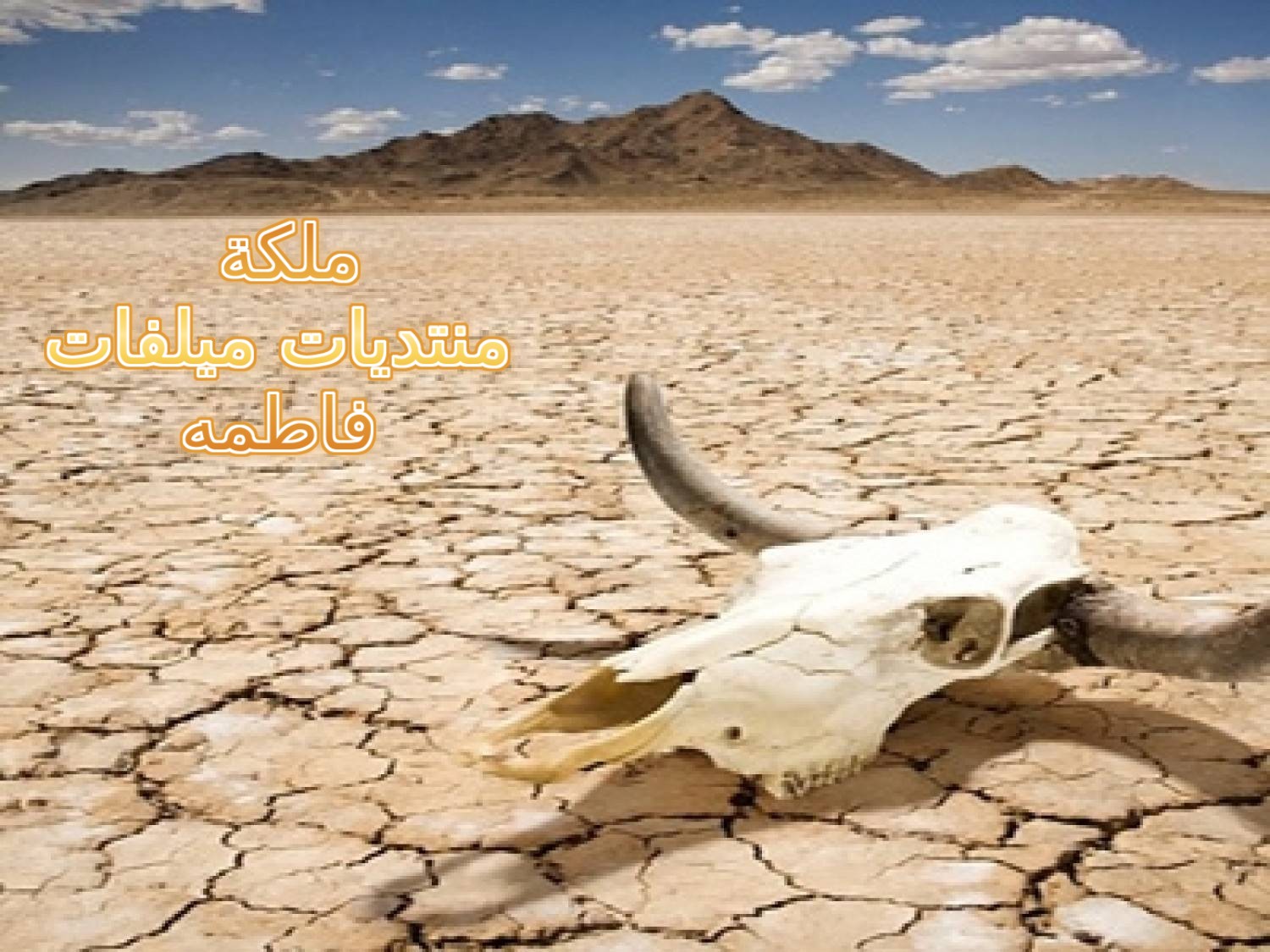 وادي الموت في كاليفورنيا_Watermarked.jpg