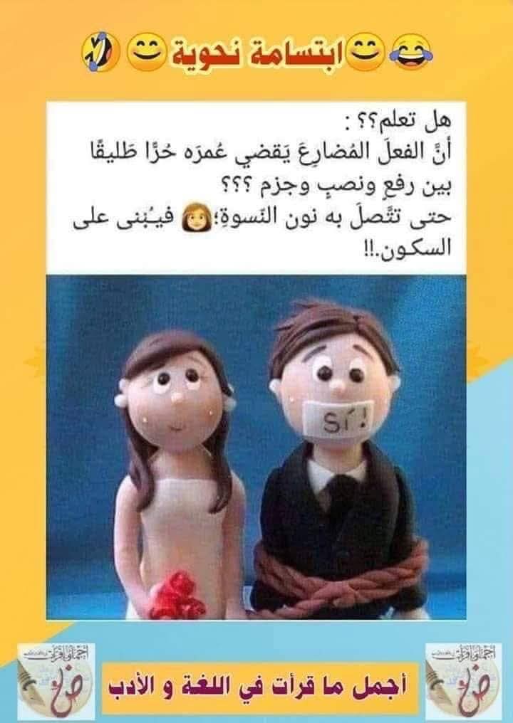 FB_IMG_1766606400027.jpg