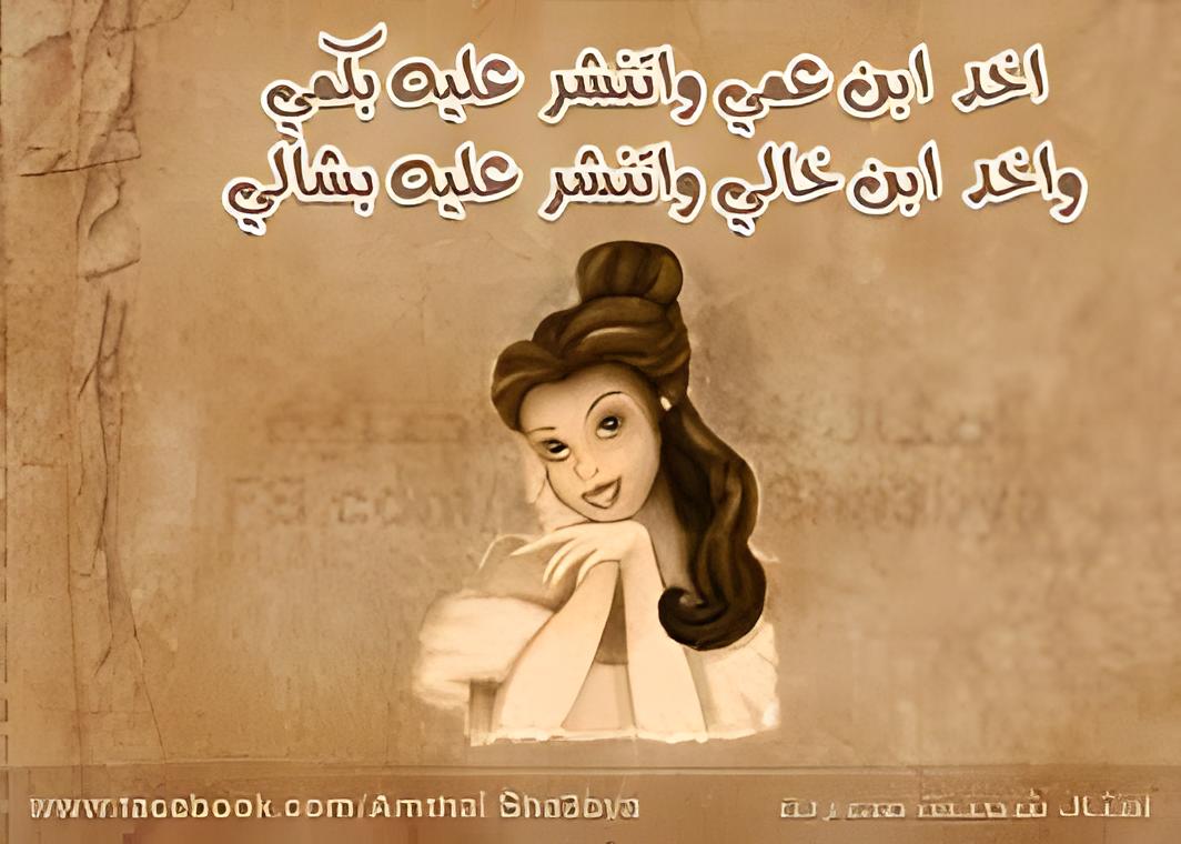 images (4)_٠٥٠٩١٦.jpg