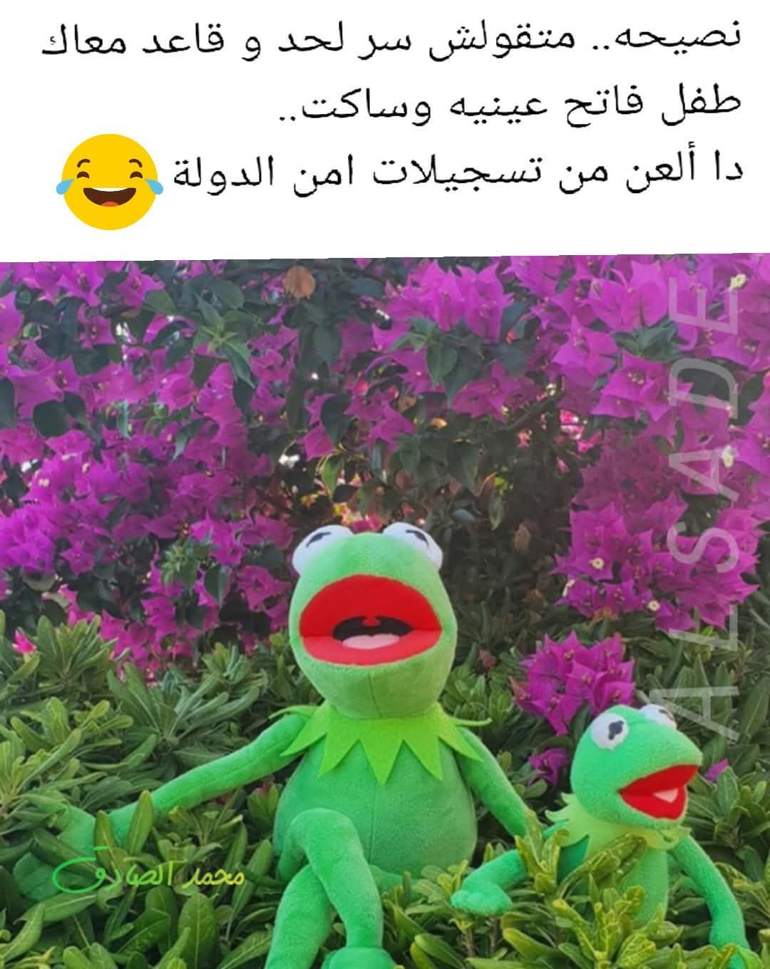 FB_IMG_1767914104906.jpg