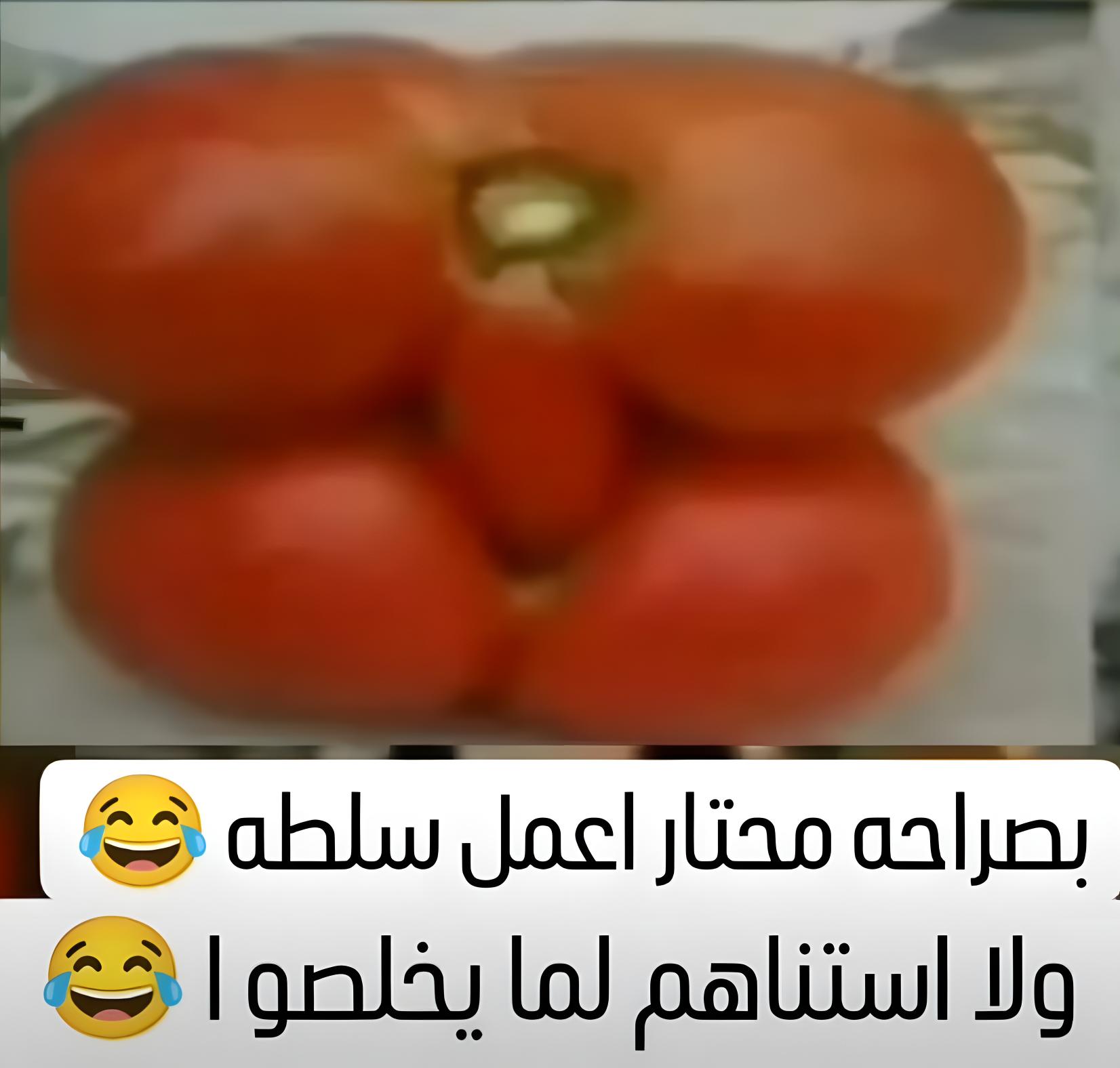 486090215_1844655022974643_4957070048621461841_n_١٢٥٦٠١.jpg
