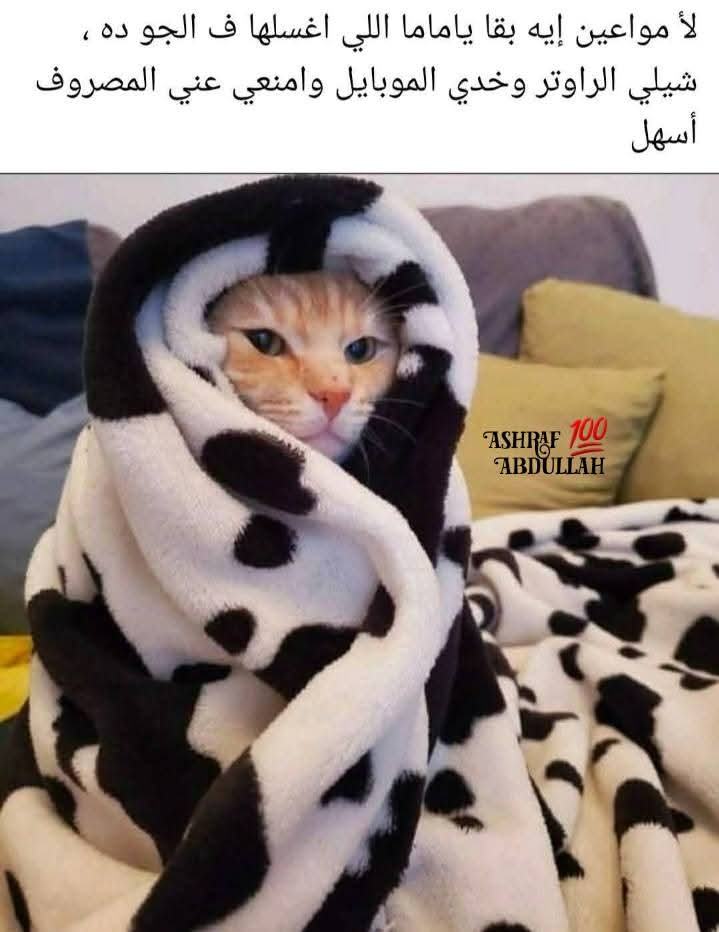 FB_IMG_1768563559624.jpg