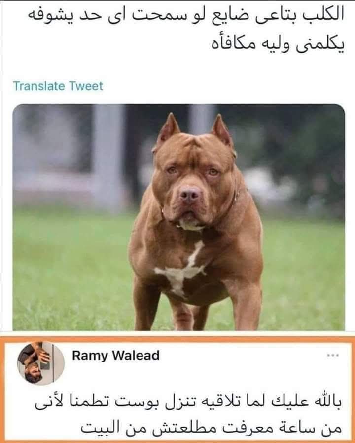 FB_IMG_1768602247005.jpg