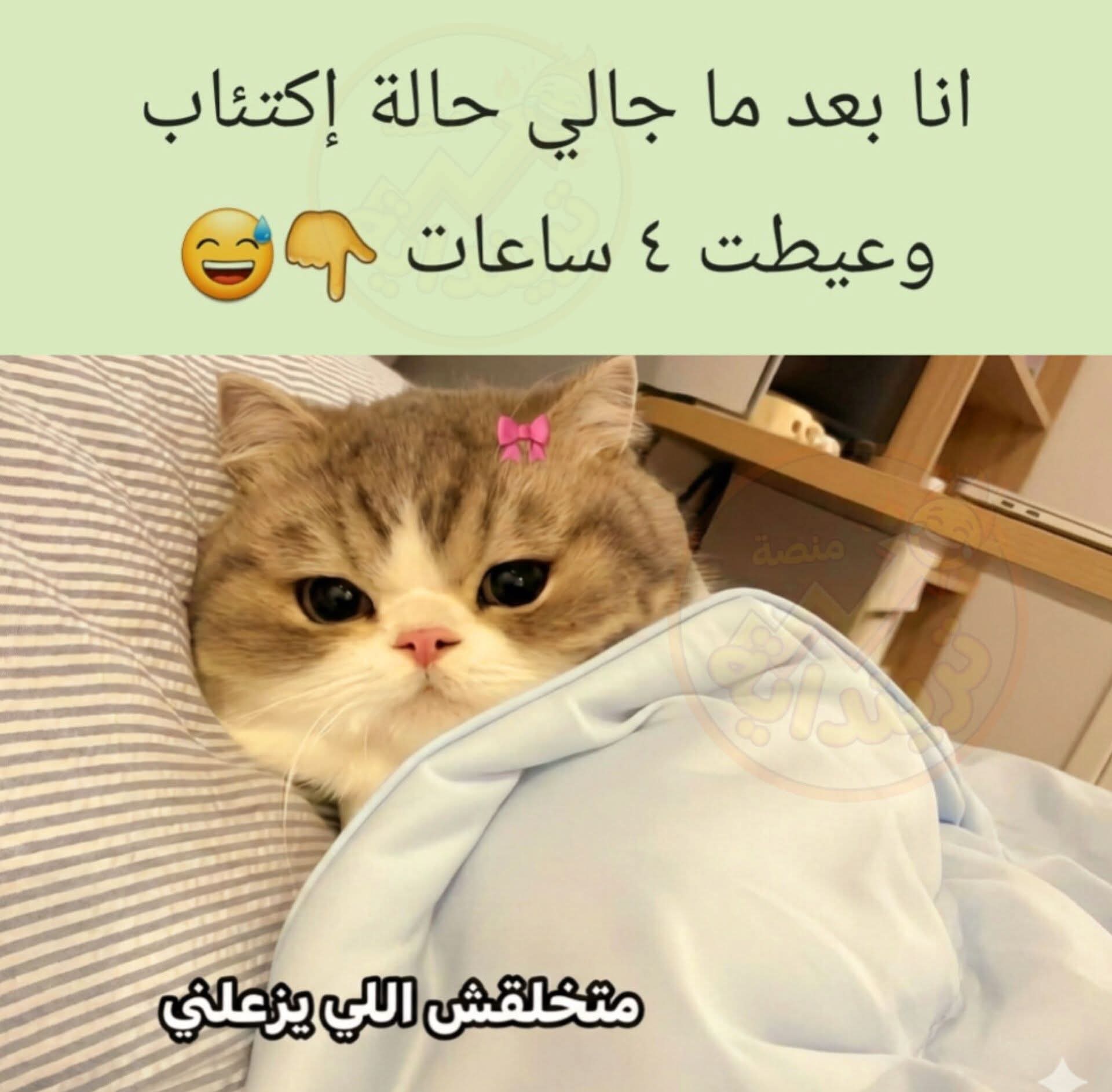FB_IMG_1769168727881.jpg