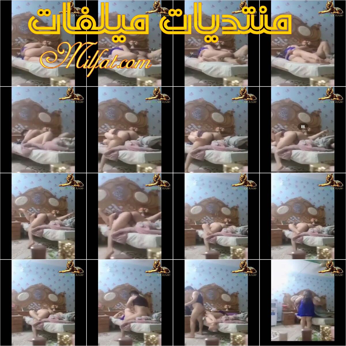 1000051664.jpg