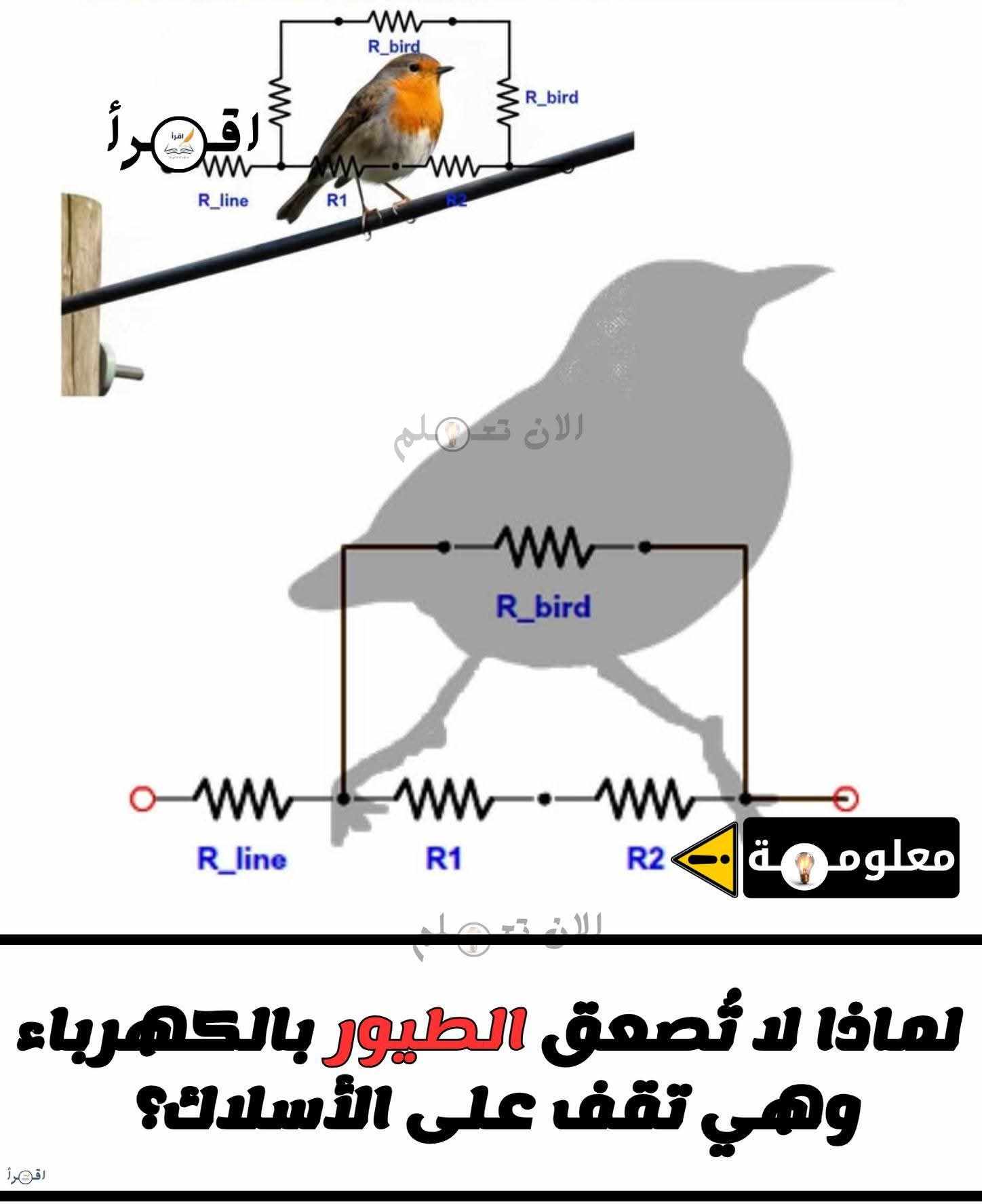 FB_IMG_1769298958365.jpg