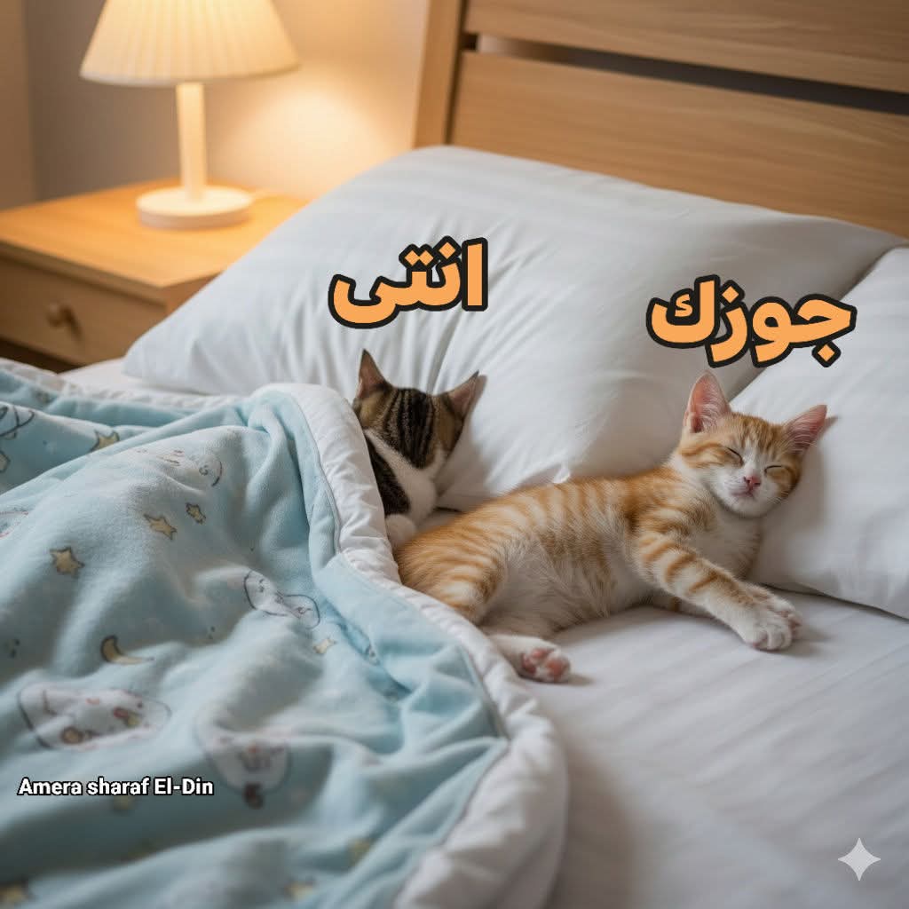 FB_IMG_1767449012502.jpg