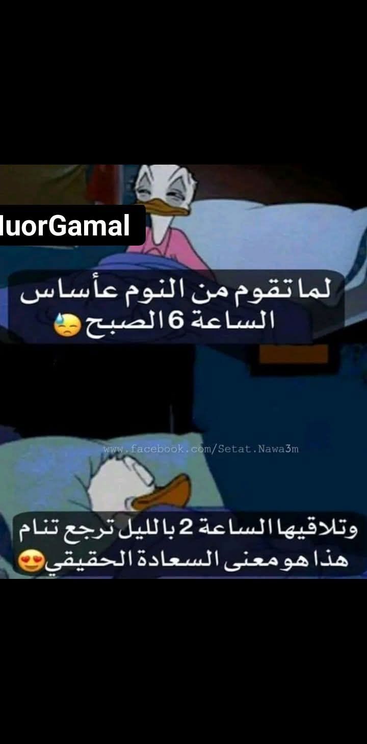 FB_IMG_1767454903769.jpg