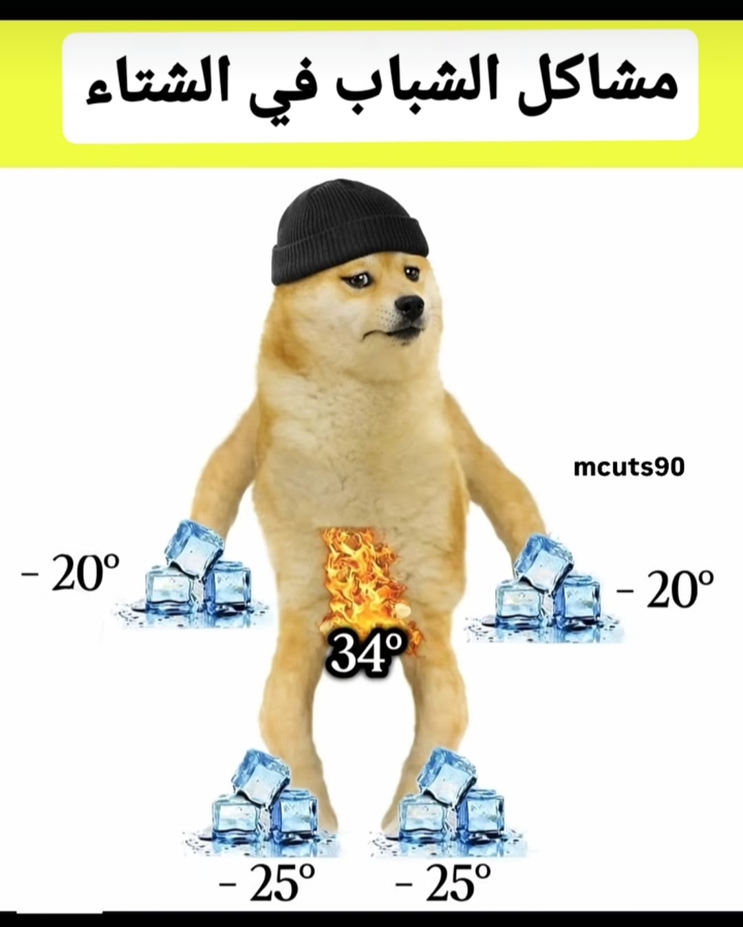 1000475636.jpg