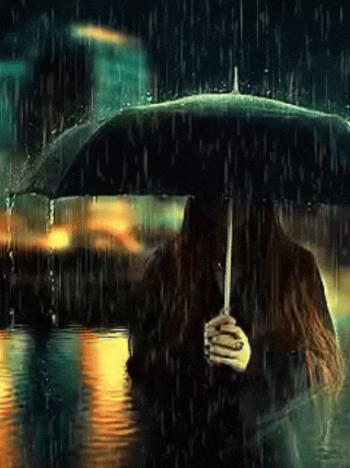 96988_1000048591.gif