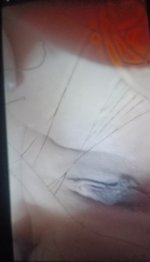 90068_IMG__.jpg
