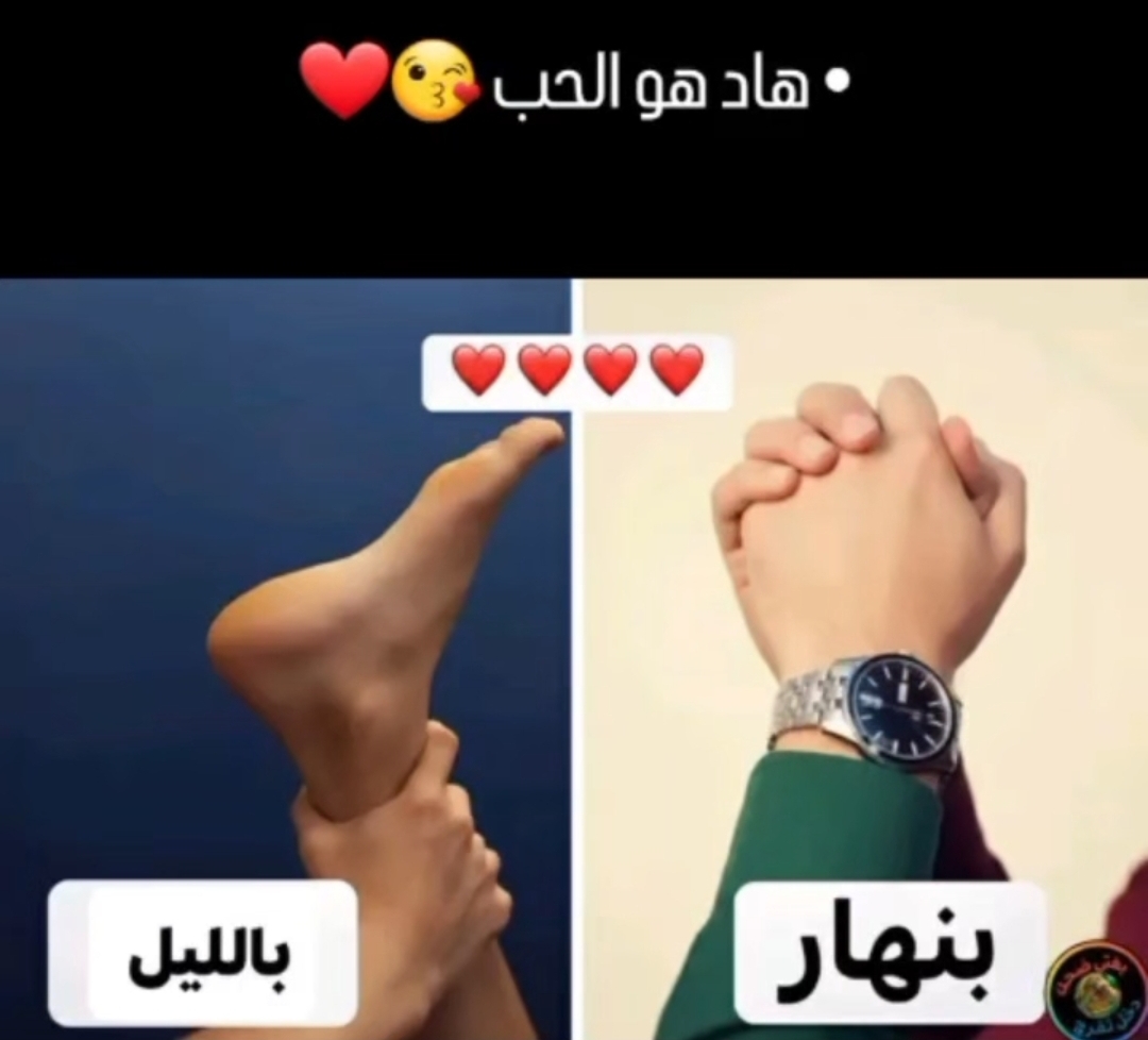 Screenshot_٢٠٢٦٠٣٣١_١٥٤١٤٥_Instagram Lite.jpg