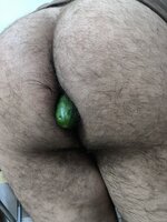 532.jpg