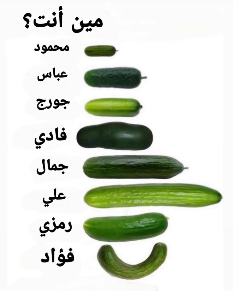 Screenshot_٢٠٢٦٠٤٠٦_١٧٤٨٢٤_Samsung Internet.jpg
