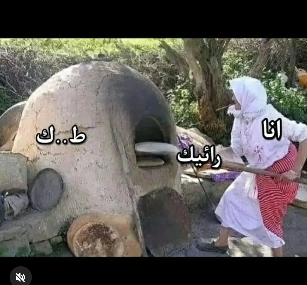 Screenshot_٢٠٢٦٠٤١٤_١٤١٢٢٣_Instagram Lite.jpg