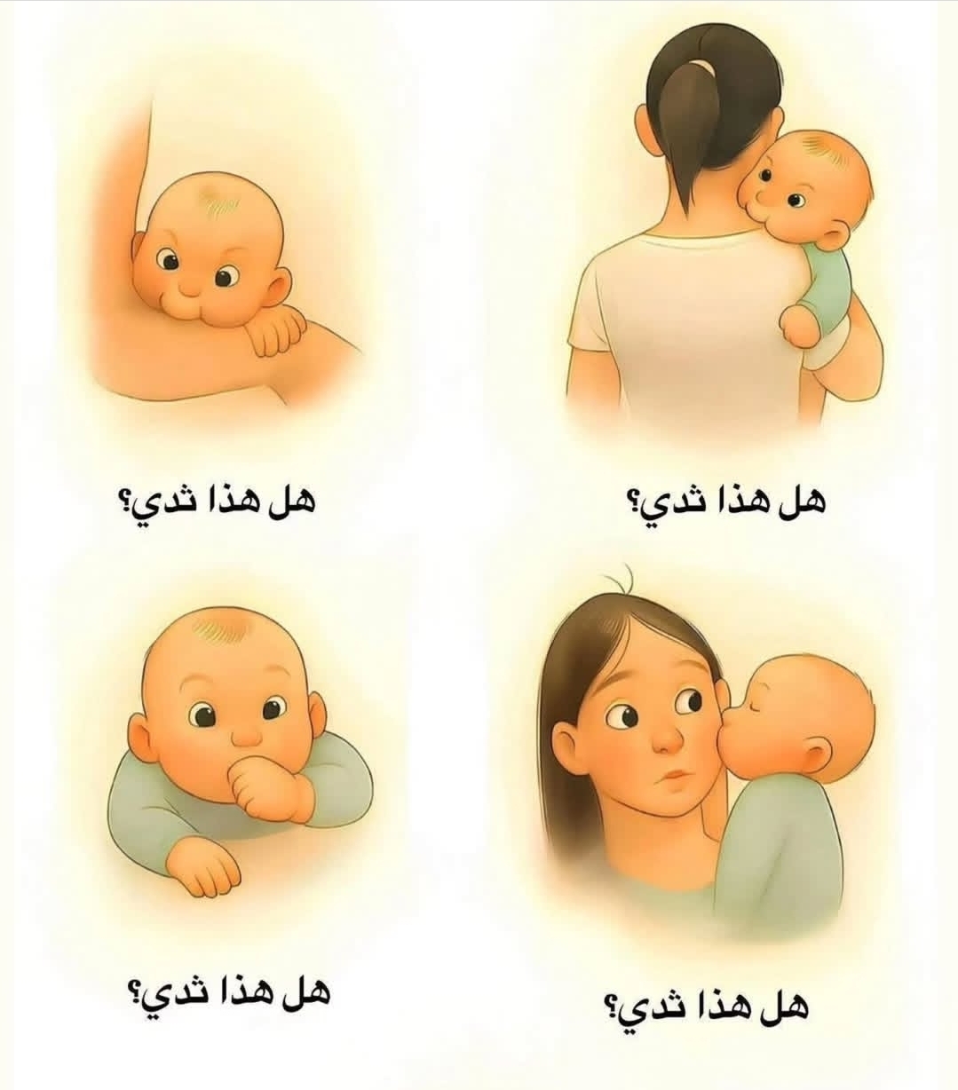 Screenshot_٢٠٢٦٠٤١٥_١٩٥٢٣٣_Instagram Lite.jpg