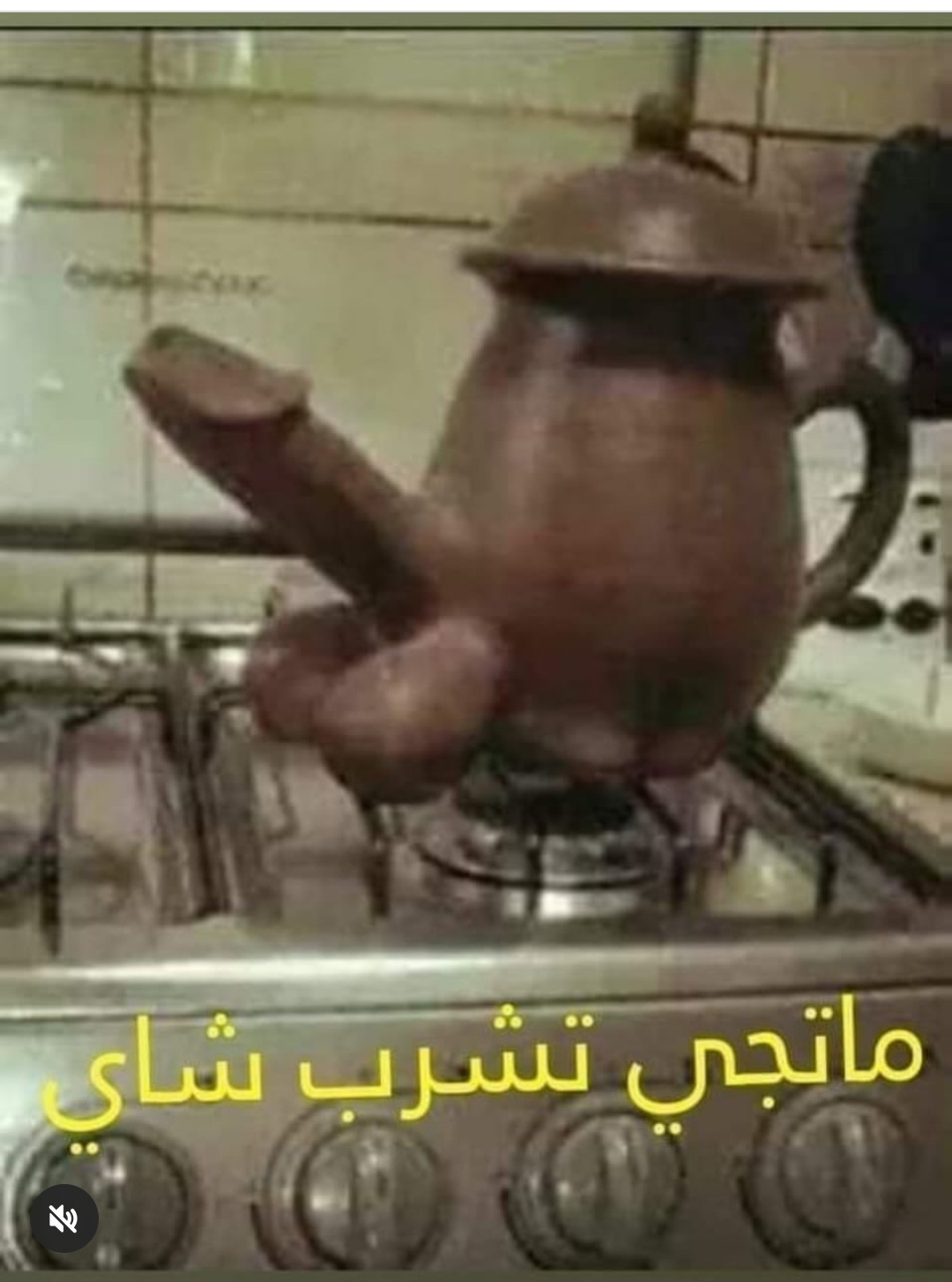 Screenshot_٢٠٢٦٠٥٢١_١٦٤٦٣٦_Instagram Lite.jpg