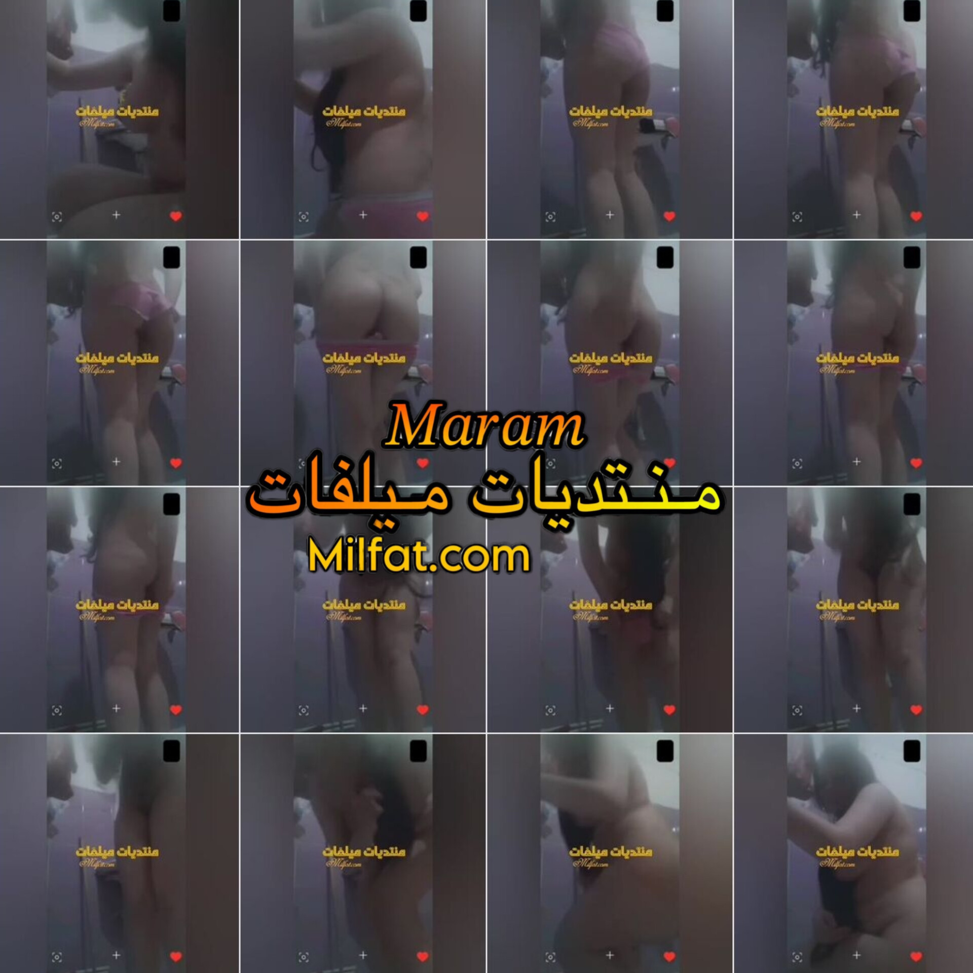 363.jpg