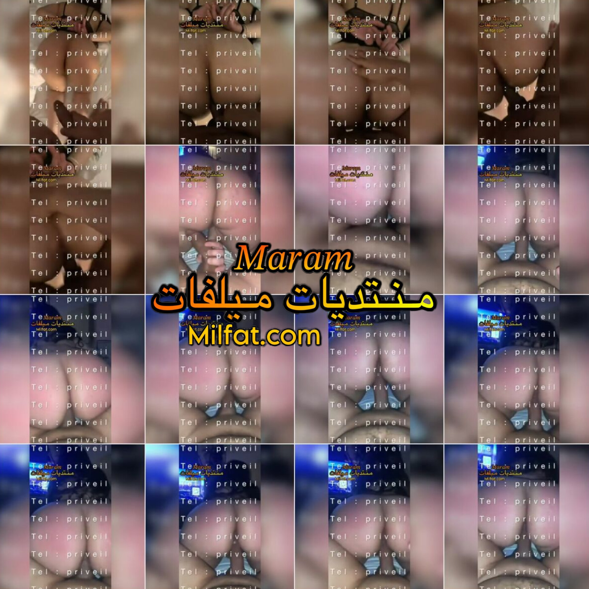 6313.jpg